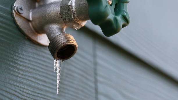 Best Plumbing Services Near Me  in Boling, TX